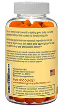 Load image into Gallery viewer, Turmeric Curcumin &amp; Ginger Chewable Gummies for Adults and Children. Anti Inflammatory Supplement for Joint Relief. Vegan Friendly, Kosher &amp; Halal, Gluten Free, Non GMO. 60 Count
