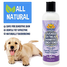 Load image into Gallery viewer, Organic Lavender Oatmeal Dog Shampoo and Conditioner | Hypoallergenic Conditioning Deodorizing Formula for Dogs Cats &amp; Pets | Treatment Wash Soothes Dry Itchy Skin | Aloe for Allergy Relief 8oz
