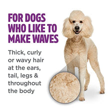 Load image into Gallery viewer, TropiClean PerfectFur Curly &amp; Wavy Coat Shampoo for Dogs, 16oz - Made in USA - Naturally Derived - Curly &amp; Wavy Coat Formula - Detangling &amp; Dematting on Thick Fur &amp; Wiry Breeds Like Poodles &amp; Bichons
