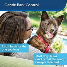 Load image into Gallery viewer, PetSafe Outdoor Ultrasonic Bark Control - No Barking Deterrent for All Dog Sizes - Up to 1/4 Acre (50 ft) Coverage - Automatic Activation - Weatherproof - Great for Backyards - Bird House Design

