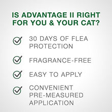 Load image into Gallery viewer, Advantage II 2-Dose Flea Prevention and Treatment for Large Cats, Over 9 Pounds
