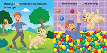 Load image into Gallery viewer, Blippi: Let's Look High and Low (8x8 with Flaps)
