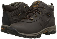 Load image into Gallery viewer, Timberland boys Mt. Maddsen Mid Waterproof - Chukka Boot, Dark Brown, 6 Toddler US
