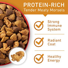 Load image into Gallery viewer, Purina ONE Natural Dry Dog Food, SmartBlend Chicken &amp; Rice Formula - 40 lb. Bag
