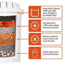 Load image into Gallery viewer, PH001 3-Pack Alkaline Water Filter – Plus PH002 UF Membrane Filter 1PK Bundle
