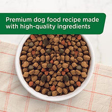 Load image into Gallery viewer, Rachael Ray Nutrish Premium Natural Dry Dog Food, Real Chicken &amp; Veggies Recipe, 6 Pounds (Packaging May Vary)
