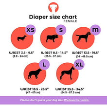 Load image into Gallery viewer, PETTING IS CARING Dog Washable Diapers &amp; Reusable Female Dog Diapers Materials Durable Machine Washable Simple Solution for Pets Incontinence Long Travels Pants - 3 Pack Set Size (M)
