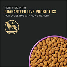 Load image into Gallery viewer, Purina Pro Plan Performance - High Protein 30/20 Dry Dog Food - Salmon
