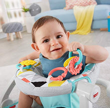 Load image into Gallery viewer, Fisher-Price Sit-Me-Up Floor Seat
