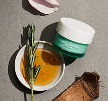 Load image into Gallery viewer, NATUREWELL Day and Night Dynamic Renewal Cream, Hydrates, Restores Radiance, Plumps, Softens, &amp; Reduces the Appearance of Fine Lines with 33 Botanical Super Complex, For Face &amp; Neck, 1.7 Oz
