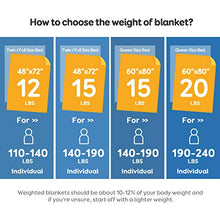 Load image into Gallery viewer, BUZIO Sherpa Fleece Weighted Blanket for Adult, 15 lbs Thick Fuzzy Bed Blanket with Soft Plush Flannel, Dual Sided Cozy Fluffy Blanket, 48 x 72 inches, Grey
