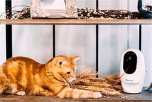 Load image into Gallery viewer, Pawbo Life Pet Camera: WiFi HD Video with 2-Way Audio, Treat Dispenser and Laser Game, Designed for Dogs and Cats
