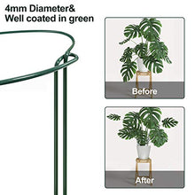 Load image into Gallery viewer, CKE 20 Pack 4mm Plant Support Stakes, Metal Peony Support, Garden Plant Cage Stake Support, Plant Support Ring, Green Half Round Plant Support Ring for Peony, Tomato, Rose, Vine Plant 10" W x 15.8" H
