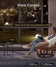 Load image into Gallery viewer, Outdoor Smart Dimmer Plug, WiFi Outlet Works with Alexa Google Assistant, Timer Schedule, Remote Control Outlet Work with Dimmable String Lights, IP64 Weatherproof, No Hub Required, Max Power 300W
