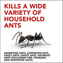 Load image into Gallery viewer, Raid Ant Gel 1.06 Oz
