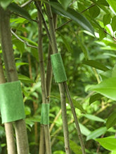 Load image into Gallery viewer, VELCRO Brand ONE-WRAP Garden Ties | Tree Ties and Plant Supports for Effective Growing | Extra Wide to Secure Trees and Larger Plants | Cut-to-Length | 18 feet x 2 inch roll | Green
