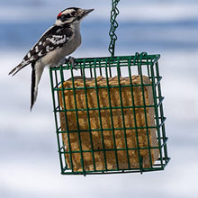 Load image into Gallery viewer, C&amp;S Wild Bird High Energy Suet Treat 56 Ounces, 6 Pack
