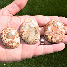 Load image into Gallery viewer, Zenergy Gems Selenite Charged Hand-Carved Natural Peruvian Leopardskin Jasper Palm Stone/Worry Stone + Selenite Heart Charging Crystal [Included]
