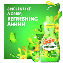 Load image into Gallery viewer, Gain Laundry Fabric Softener Liquid, Original Scent, 41 fl oz, 48 loads, HE Compatible, Pack of 4, (Packaging May Vary)
