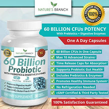 Load image into Gallery viewer, 60 Billion Probiotics for Women, Probiotics for Men - Guaranteed 10 Strains - Prebiotics &amp; Digestive Enzymes, One A Day Supplement with Lactobacillus Acidophilus, Renew Mood Health - 30 Vegan Capsules
