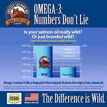 Load image into Gallery viewer, Grizzly All-Natural Wild Caught Alaskan Salmon Oil Dog Food Supplement | Balanced Blend of Omega-3 Fatty Acids | Medical Grade Pump for Exact, No-Spill Dose (32 oz)
