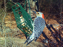 Load image into Gallery viewer, C&amp;S Wild Bird High Energy Suet Treat 56 Ounces, 6 Pack
