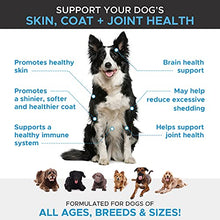 Load image into Gallery viewer, PetHonesty 10 in 1 Multivitamin + Salmon SkinHealth Soft Chew Supplement Bundle - Dog Vitamins, Glucosamine Chondroitin, Probiotics, Omega 3 Fish Oil, and Wild Alaskan Salmon Oil, Cure Itchy Skin.
