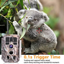 Load image into Gallery viewer, BlazeVideo WiFi Deer &amp; Trail Game Camera 32MP 1296P No Glow Night Vision Time Lapse Waterproof Motion Activated Photo &amp; Video Model for Wildlife Scouting Hunting &amp; Home or Backyard Security

