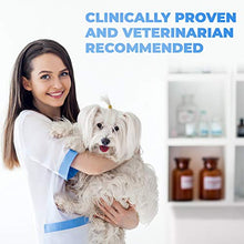 Load image into Gallery viewer, Forticept Maxi-Wash Antiseptic Antifungal Antibacterial Medicated Itch Relief Hot Spot Spray for Dogs &amp; Cats|First Aid Skin and Paw Cleanser | Wounds Treatment 8 oz
