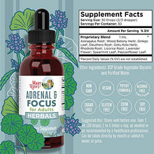 Load image into Gallery viewer, Nootropic Focus Supplement for Adults | USDA Organic Brain Supplement with Ginkgo Biloba &amp; Astragalus | Focus &amp; Adrenal Support | Brain and Memory Drops | Vegan | Non-GMO | Gluten Free | 30 Servings
