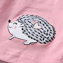 Load image into Gallery viewer, Baby Girls Clothes Set 2 Piece Long Sleeve Cartoon Hedgehog Infant Outfits (0-6 Months) Pink
