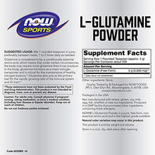Load image into Gallery viewer, Now Sports Nutrition, L-Glutamine Powder, 35.2 Ounce (Pack of 1)
