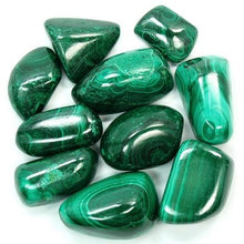 Load image into Gallery viewer, Tumbled Malachite(1" - 1-1/2") - 1pc.
