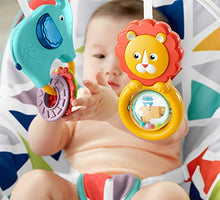 Load image into Gallery viewer, Fisher-Price Infant-to-Toddler Rocker
