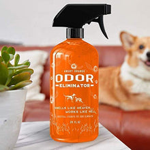 Load image into Gallery viewer, ANGRY ORANGE 24 oz Ready-to-Use Citrus Pet Odor Eliminator Pet Spray &amp; Enzyme Stain Cleaner &amp; Pet Odor Eliminator- Urine Remover and Carpet Deodorizer for Dogs and Cats
