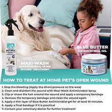 Load image into Gallery viewer, Forticept Maxi-Wash Antiseptic Antifungal Antibacterial Medicated Itch Relief Hot Spot Spray for Dogs &amp; Cats|First Aid Skin and Paw Cleanser | Wounds Treatment 8 oz
