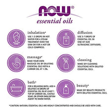 Load image into Gallery viewer, NOW Essential Oils, Rose Hip Seed Oil, 100% Pure, Nourishing and Renewing, For Facial Care, Vegan, 1-Ounce
