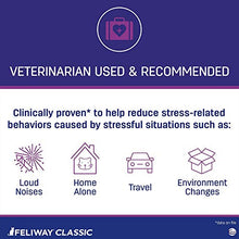 Load image into Gallery viewer, FELIWAY Cat Calming Pheromone Spray (60ML) | #1 Vet Recommended Solution | Reduce Anxiety for Vet Visits, Travel, Loud Noises and More, Model Number: 281011E

