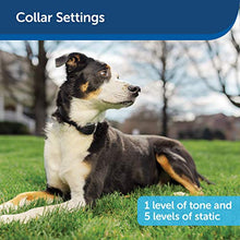 Load image into Gallery viewer, PetSafe Stay &amp; Play Dog and Cat Wireless Fence – Above Ground Electric Pet Fence
