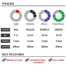 Load image into Gallery viewer, TheFitLife Resistance Pull Up Bands - Pull-Up Assist Exercise Bands, Long Workout Loop Bands for Body Stretching, Powerlifting, Fitness Training, with Carrying Bag and Workout Guide - Full Set
