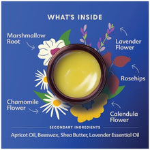 Load image into Gallery viewer, Motherlove Pregnant Belly Salve (4 oz) Herbal Balm to Soothe Itchy Skin &amp; Prevent Stretch Marks—Non-GMO &amp; Organic Herbs
