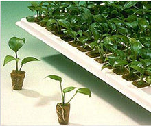 Load image into Gallery viewer, 1.5 inch Rockwool/Stonewool Grow Cubes Starter Sheets for Cuttings, Cloning, Plant Propagation, Seed Starting Hydroponic Grow Media Growing Medium for Vigorous Plant Growth (28, 1.5)
