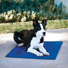 Load image into Gallery viewer, K&amp;H Pet Products Coolin' Pet Pad Large Blue 20" x 36"
