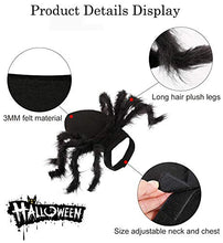 Load image into Gallery viewer, N3 2020 Updated Version Product Halloween Spider Pet Costume，Halloween Horror Simulation Plush Big Spider Wings Dress Up Funny Party for Dogs or Cats (M)
