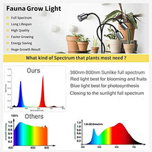 Load image into Gallery viewer, CWH&amp;WEN Plant Grow Light, Grow Lamp Full Spectrum with Auto ON &amp;Off Timer 3/9/12H for Indoor Plants, 3 Heads Grow Bulbs, USB+AC Adapter for Seedlings and Succulents
