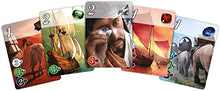 Load image into Gallery viewer, Splendor
