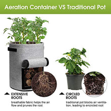 Load image into Gallery viewer, Homyhoo Potato Grow Bags with Flap 10 Gallon, 4 Pack Planter Pot with Handles and Harvest Window for Potato Tomato and Vegetables, Black and Gray

