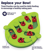 Load image into Gallery viewer, Nina Ottosson by Petstages Buggin' Out Puzzle &amp; Play - Interactive Cat Treat Puzzle
