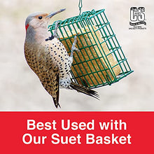 Load image into Gallery viewer, C&amp;S Wild Bird High Energy Suet Treat 56 Ounces, 6 Pack
