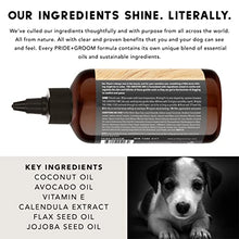 Load image into Gallery viewer, Pride and Groom The Sensitive One Dog Shampoo – All Natural Blend of Essential Oils &amp; Gentle Ingredients for Puppies &amp; Dogs with Sensitive Skin &amp; Coats to Soothe and Regulate Skin &amp; Follicles – 16oz
